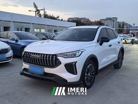 2023 Haval Haver Rabbit 1.5T Dynamic Edition - автомобиль из Китая