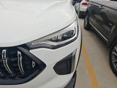 Haval Haver Rabbit 1.5T Dynamic Edition - ფოტო 2