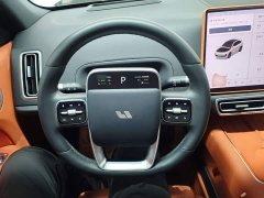 Li Auto L6 Pro Smart Refresh Edition - ფოტო 10