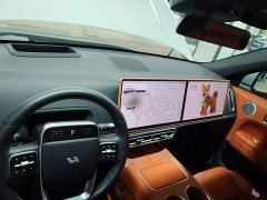 Li Auto L6 Pro Smart Refresh Edition - ფოტო 9