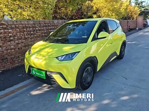2024 BYD Seagull Vitality Edition - ავტომობილი ჩინეთიდან