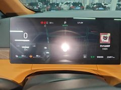Great Wall WEY Shanshan New Energy Four-Wheel Drive Shanshan 8 - photo 11