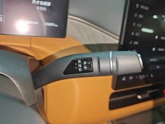 Great Wall WEY Shanshan New Energy Four-Wheel Drive Shanshan 8 - photo 13