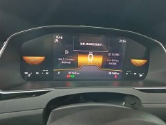 Volkswagen Magotan 2 Million Units Commemorative Edition 330TSI DSG Leading Version - photo 11