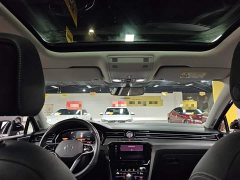 Volkswagen Magotan 2 Million Units Commemorative Edition 330TSI DSG Leading Version - photo 17