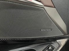 BMW 3 Series 330Li Luxury M Sport Night Edition Package - photo 11