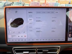 Li Auto L8 Max - ფოტო 5
