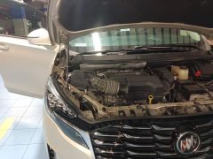 Buick GL8 ES Luxun Luxury Edition - ფოტო 20