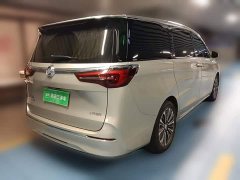 Buick GL8 ES Luxun Luxury Edition - ფოტო 4