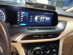 Buick GL8 ES Luxun Luxury Edition - ფოტო 9