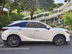 Lexus RX New Energy 450h AWD Comfort Edition - фото 7