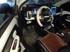 SAIC Clever 311km Vitality Pop Edition - ფოტო 17