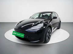 Tesla Model Y Rear-Wheel Drive - photo 1
