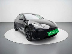 Tesla Model Y Rear-Wheel Drive - photo 3