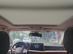 Volkswagen Sagitar 300TSI DSG Excellence Edition - photo 14