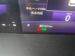 Volkswagen Sagitar 300TSI DSG Excellence Edition - photo 8