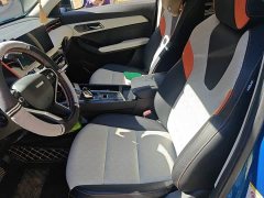 Haval Chitu Jiqing Edition 1.5T Golden Rabbit - photo 11