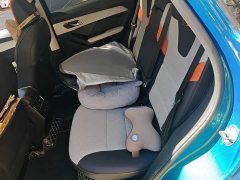 Haval Chitu Jiqing Edition 1.5T Golden Rabbit - photo 13
