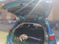 Haval Chitu Jiqing Edition 1.5T Golden Rabbit - photo 15