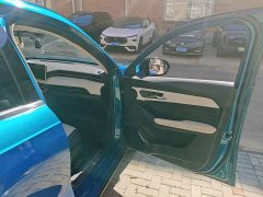 Haval Chitu Jiqing Edition 1.5T Golden Rabbit - photo 19