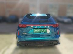 Haval Chitu Jiqing Edition 1.5T Golden Rabbit - photo 3