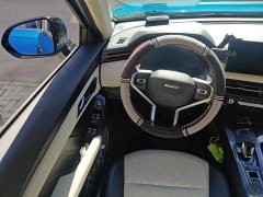 Haval Chitu Jiqing Edition 1.5T Golden Rabbit - photo 6
