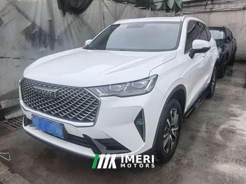 2021 Haval H6 Third Generation 1.5T Automatic Two-Wheel Drive Pro - car from China