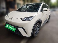 BYD Seagull 405km Flying Edition - photo 1