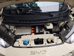 BYD Seagull 405km Flying Edition - photo 16
