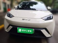 BYD Seagull 405km Flying Edition - photo 2