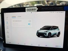 BYD Seagull 405km Flying Edition - photo 20