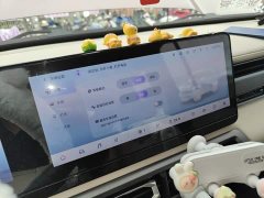 Baojun Yueye Flagship Edition - ფოტო 20