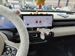 Baojun Yueye Flagship Edition - ფოტო 9