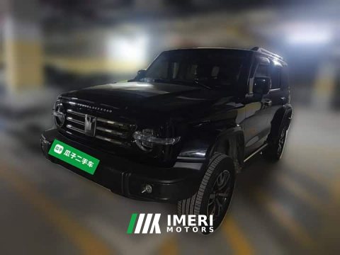 2023 Tank 300 City Edition 2.0T Stylish - car from China