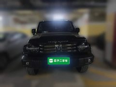 Tank 300 City Edition 2.0T Stylish - photo 2
