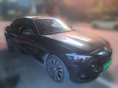 BMW 2 Series (Imported) 225i Sport Design Package - photo 3