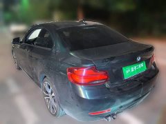 BMW 2 Series (Imported) 225i Sport Design Package - photo 4