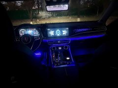 FAW Red Flag H9 2.0T Smart Connected Flagship Comfort Edition - photo 15