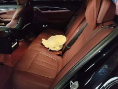 BMW 5 Series 530Li Luxury M Sport Package - photo 18