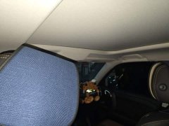 Great Wall Dachshund 1.5T DCT Border Collie Edition - фото 14