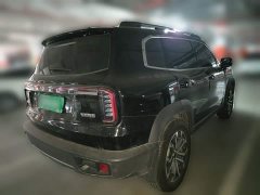 Great Wall Dachshund 1.5T DCT Border Collie Edition - фото 4
