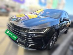 BYD Destroyer 05 Glory Edition DM-i 55KM Luxury - photo 1