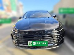 BYD Destroyer 05 Glory Edition DM-i 55KM Luxury - photo 2