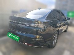 BYD Destroyer 05 Glory Edition DM-i 55KM Luxury - photo 4