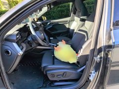 Audi A3 Facelift A3L Limousine 35 TFSI Fashion Sport - photo 16