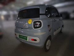 FAW Besturn Xiaoma 222km Colorful Edition - photo 4