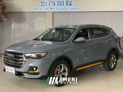 2022 Haval H6 National Trend 1.5T Automatic Champion Edition - car from China