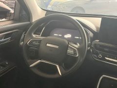 Haval H6 National Trend 1.5T Automatic Champion Edition - ფოტო 14