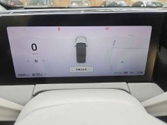 Leapmotor Leapo C11 Premium Edition - фото 11