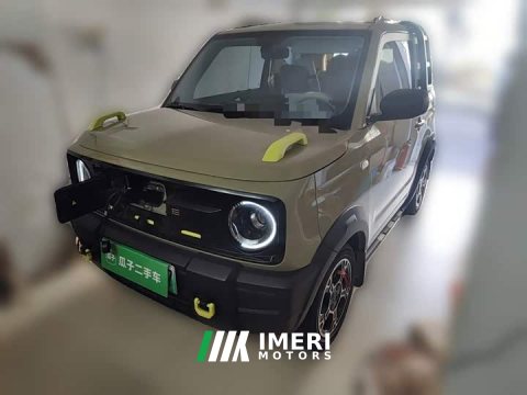 2026 Geely Panda 210km Panda Knight - car from China